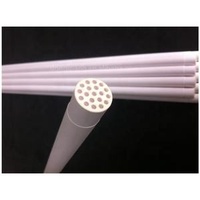 100nm Microfiltration Ceramic Membrane for Cross Flow Filter