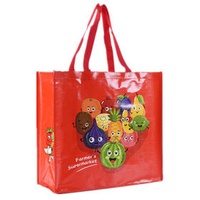 China Manufacturer Custom Reusable Shopping Bag Bopp Laminated Recycled PP Woven Bag