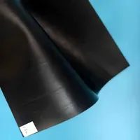 2mm Environmental Protection Dam Lake Pond Anti Seepage Film Layer Plastic Membrane
