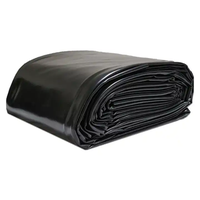 0.8mm 1.0mm 1.2mm Outdoor Aquascape Landscape Waterproof Membrane EPDM Rubber Geomembrane Pond Lining