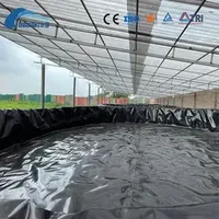 HDPE Geomembrane Waterproof Plastic Membrane for Pond Liner Fish Ponds Biogas Digester Liner