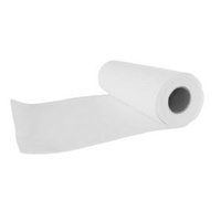Nitrocellulose Membrane Roll 0.22/0.45 Micron 270mm*100meter