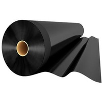 Modern Design HDPE Geomembrane Fish Pond Liner Smooth Plastic Reservoir For Artificial Lake Factory Source