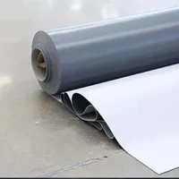 Tpo Single-Ply Roofing Membrane for Flat Roof and Industry Roof