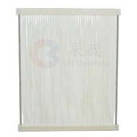 Hot Selling Membrane Bio Reactor Hollow Fiber Membrane for Wastewater Treatment Plant
