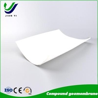 One Cloth One Membrane Compound Geomembrane For Anti Seepage And Reinforcement