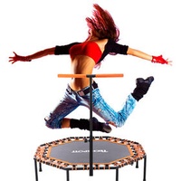 Cheap fitness octagonal adults Handrail trampoline