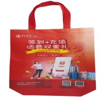Recyclable PP Laminated Non Woven Fabric Bags Membrane Printing Shopping Bag