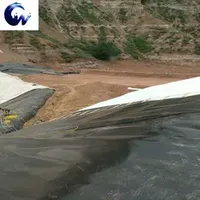 Building Material Gh-1/Gh-2s/Gh-2t1/Gh-2t2/Gl-1/Gl-2 HDPE Waterproof Membrane Anti-Seepage