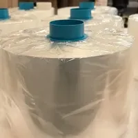 BOPP Cigarette Used in Food Cellophane Polypropylene Packaging Transparent Anti-Counterfeiting Heat-Sealing Film