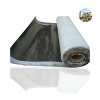 Polyester Reinforcement Bitumen Waterproof Membrane