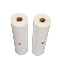 32cm/12.6inches Printed Bopp Film Rolls Two Side Coating Thermal Lamination Post Press Film 200m