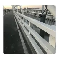 RSs-cb007 OEM Traffic Barrier Steel Anti-Crash Bridge Highway Guardrail