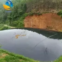 New Type of Aquaculture Black Film Biogas Digester Thickened Hpde Composite Polyethylene Landfill Fish Pond Anti-Seepage Membrane
