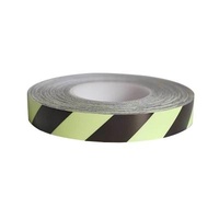 Custom Sample Fee Charged PVC Photoluminescent Sheet for Uidance and Handrail Strip