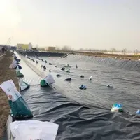 Geomembrane Sheet Roll HDPE Fish Pond Plastic Water Reservoir Liner Liquid Membrane