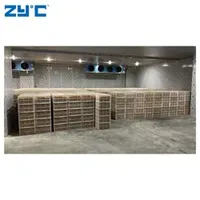 Big Capacity Cold Storage Room Air Cooler for Pastry and Bakery