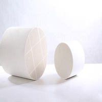Ceramic Membrane Filter 100CSI cellular catalyzed Diesel Particulate Filter