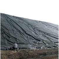 Geomembrane 0.5mm Fish Factory Price Hdpe Pond Liner Epdm Waterproof Membrane Contemporary S 50 Square Meter More Than 5 Years