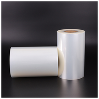 Jumbo Roll BOPP Plain Film Highly clear and Bright Resistance to Chemicals Non Metallized Glossy Film
