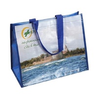 Durable Used Laminated PP Woven Bag Customize Plastic BOPP Woven Bag Recycled Manufacturer PP Non Woven Bag