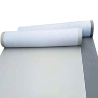 Customizable tpo waterproof membrane price 4mm waterproofing membrane Vietnam waterproof membrane price