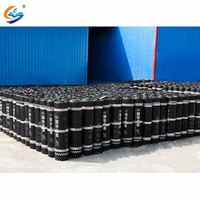 Roofing Sbs/App Modified Asphalt Bitumen Torch Waterproof Coil Asphalt Waterproofing Membrane for Concrete Roof Repair