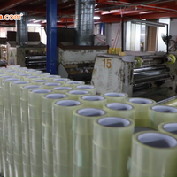 Hot Sell Color Custom Printed BOPP Material Strong Packaging Tape