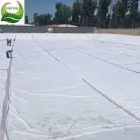 1.0mm/1.2mm/1.5mm Specialized Impermeable Membrane for Pig Manure Pit Renovation