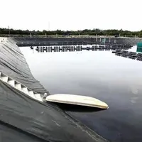1mm Thickness HDPE Waterproof Membrane for Fish Farm and Landfill