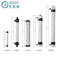 UF Ultrafiltation Equipment Hollow Fiber UF Membrane Module for Water Treatment System Water Filter Plant UF-90 UF-160