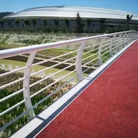 Steel Pipe Powder Coated Highway Bridge Guardrail for Road Side Traffic Safety