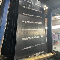 3mm 4mm APP Plastic Modified Bituminous Waterproofing Membrane