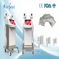Cryolipolysis antifreeze membrane best cooling system Cryolipolysis Slimming Machine FMC-I Fat Freezing Machine