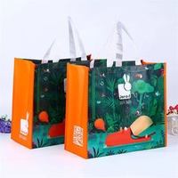 China Manufacturer Custom Printed Shopping Bopp Laminated Recycled pp woven bag