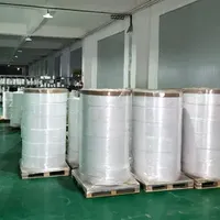 Self Adhesive Labels Jumbo Roll Synthetic Paper PVC, PE, Pet, PP, BOPP