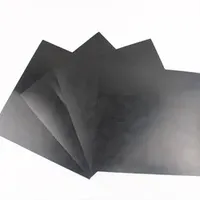 Ex-Factory Price of HDPE Geomembrane/Landfill/Fish Pond Culture Membrane