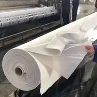 400g 500g 600g Geocomposite Membrane