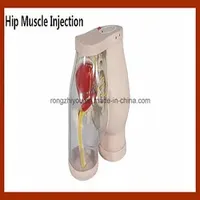 Medical Products CPR Manikin Model Hip Muscle Injection Comparison Simulator