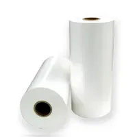 BOPP OPP CPP PE PVC Film for Flexible Packages