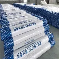 Top-Quality PVC Waterproof Membrane for Long-Lasting Waterproofing Solutions Building Material