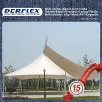 Custom Tensile Fabric Architectural Membrane for Park Stadium
