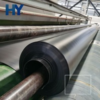 ASTM Geomembrane Sheet 60 Mil Hdpe Liner Geomembranas 0.5mm1.0mm1.5mm2mm