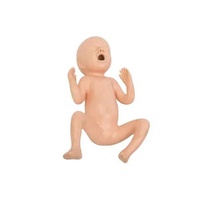 24-Week Preterm Infant Model PVC and Silicone Anatomical CPR Manikin for Medical Science & Nurse Training