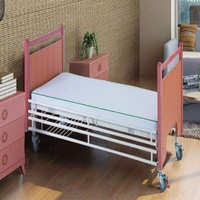 Homecare Bed Wood Head and Foot Boards Steel Guardrails Auger Casters Homecare Luxury Hospital Bed