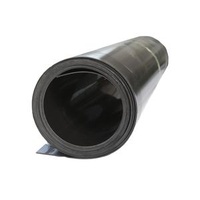 ASTM 0.2mm~3.0mm HDPE LDPE Anti-UV Waterproof Geomembrane Liner Plastic PVC Reservoirs Tailings Ponds Park Shrimp Farm 1mm