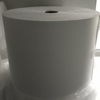 Dust Collection Cartridges HEPA Filter Paper 6cm-10cm Width PTFE Membrane