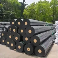 High-Density Polyethylene Membrane for Chemical and Water Applications