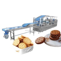 Automatic Food Processing Machine TG BCM Hot-selling Products Biscuit Maker Machine Pastry Line