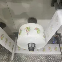 PE Plastic Film PE Back Sheet for Baby Diaper BOPP Film